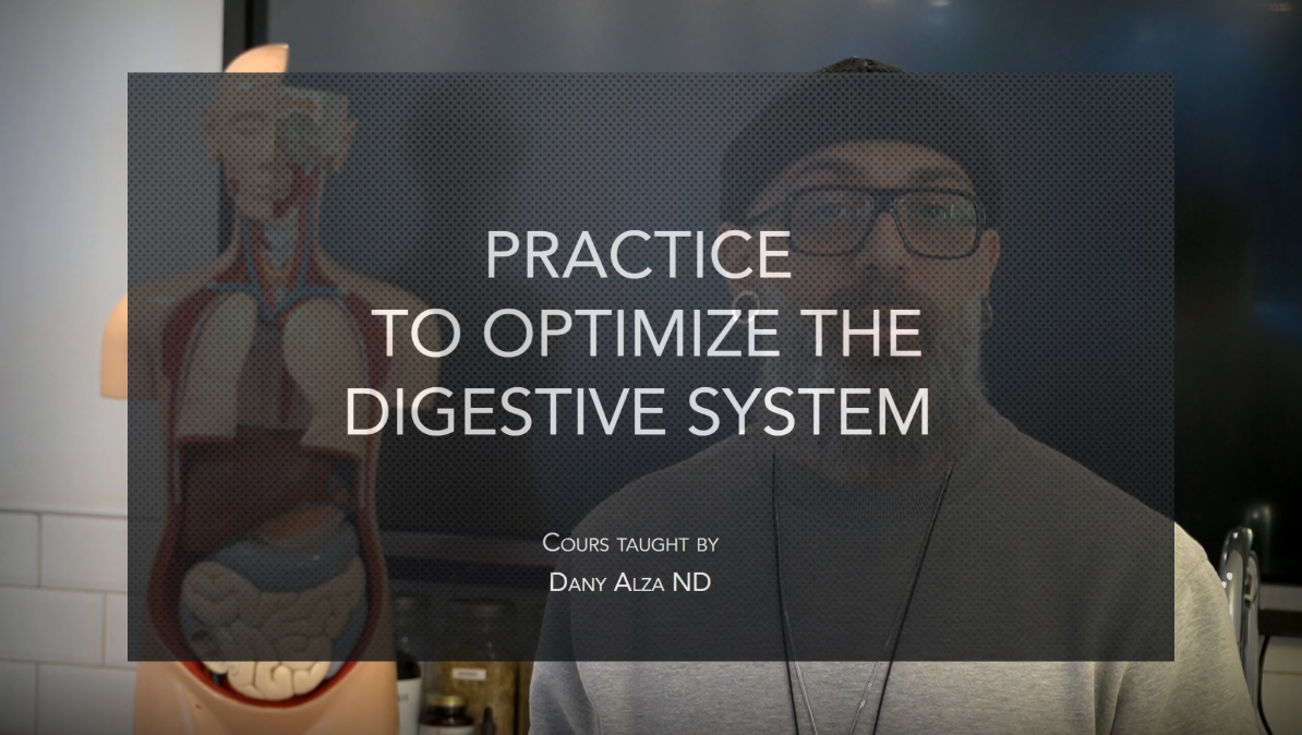 Practice to Optimize the Digestive System
